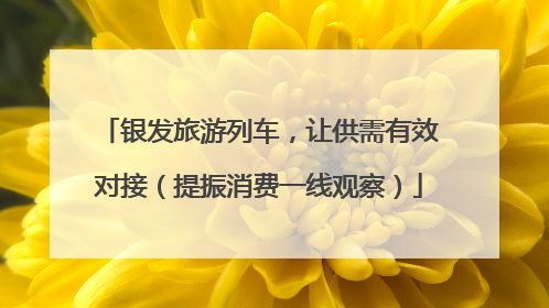 银发旅游列车，让供需有效对接（提振消费一线观察）