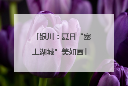 银川：夏日“塞上湖城”美如画