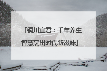 铜川宜君：千年养生智慧烹出时代新滋味