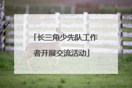 长三角少先队工作者开展交流活动