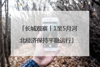 长城观察丨1至5月河北经济保持平稳运行