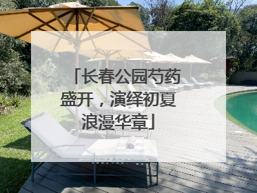 长春公园芍药盛开，演绎初夏浪漫华章