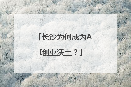 长沙为何成为AI创业沃土？