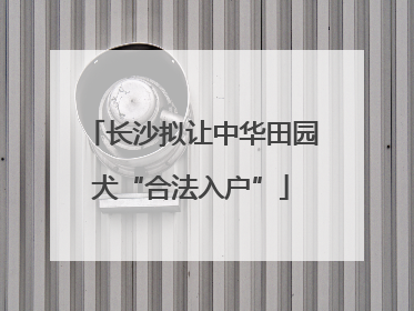 长沙拟让中华田园犬“合法入户”