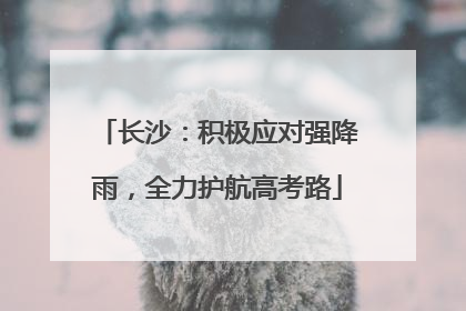 长沙：积极应对强降雨，全力护航高考路