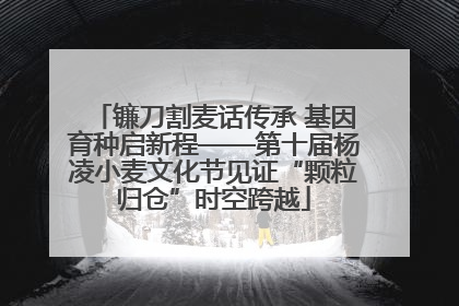 镰刀割麦话传承 基因育种启新程——第十届杨凌小麦文化节见证“颗粒归仓”时空跨越