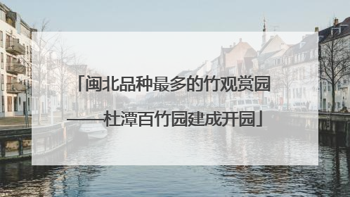 闽北品种最多的竹观赏园——杜潭百竹园建成开园