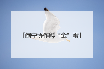 闽宁协作孵“金”蛋