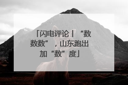 闪电评论丨“数数数”，山东跑出加“数”度