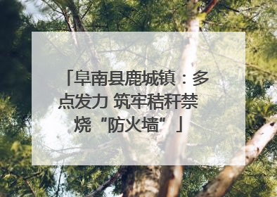 阜南县鹿城镇：多点发力 筑牢秸秆禁烧“防火墙”
