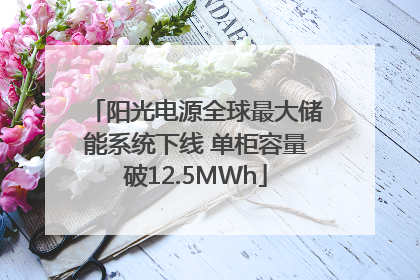 阳光电源全球最大储能系统下线 单柜容量破12.5MWh