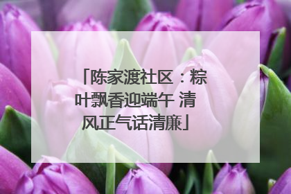 陈家渡社区：粽叶飘香迎端午 清风正气话清廉