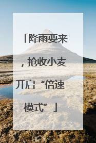 降雨要来，抢收小麦开启“倍速模式”