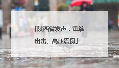 陕西省发声：重拳出击、高压震慑