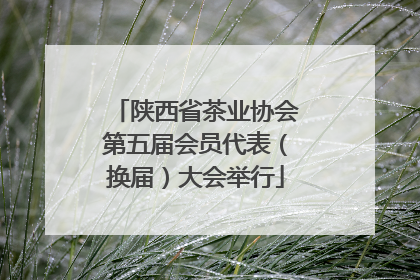 陕西省茶业协会第五届会员代表（换届）大会举行