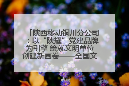 陕西移动铜川分公司：以“陕耀”党建品牌为引擎 绘就文明单位创建新画卷——全国文明单位创建纪实