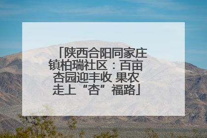 陕西合阳同家庄镇柏瑞社区：百亩杏园迎丰收 果农走上“杏”福路