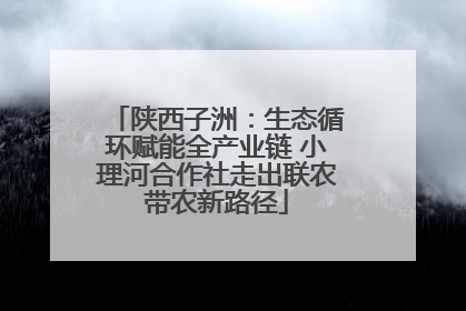 陕西子洲：生态循环赋能全产业链 小理河合作社走出联农带农新路径