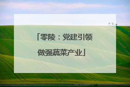 零陵：党建引领 做强蔬菜产业