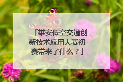 雄安低空交通创新技术应用大赛初赛带来了什么？