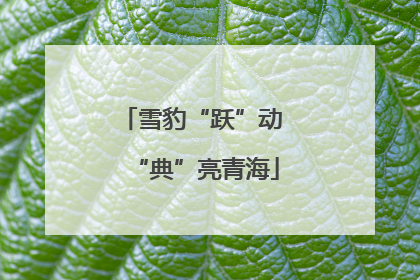 雪豹“跃”动 “典”亮青海