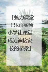 魅力课堂！乐山实验小学让课堂成为连接家校的桥梁
