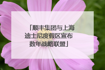 顺丰集团与上海迪士尼度假区宣布数年战略联盟