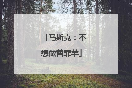 马斯克：不想做替罪羊