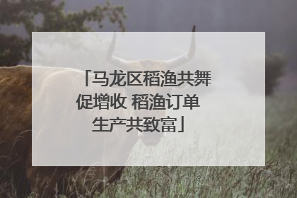 马龙区稻渔共舞促增收 稻渔订单生产共致富
