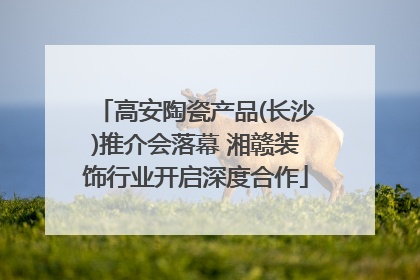 高安陶瓷产品(长沙)推介会落幕 湘赣装饰行业开启深度合作