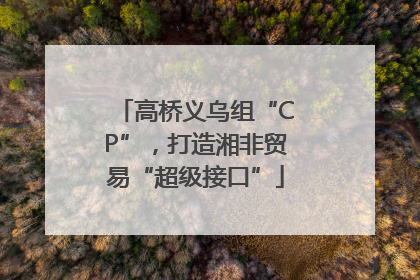 高桥义乌组“CP”，打造湘非贸易“超级接口”