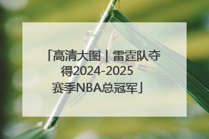 高清大图｜雷霆队夺得2024-2025赛季NBA总冠军