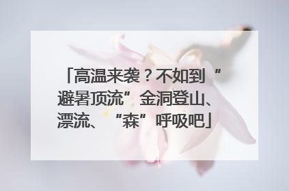 高温来袭？不如到“避暑顶流”金洞登山、漂流、“森”呼吸吧