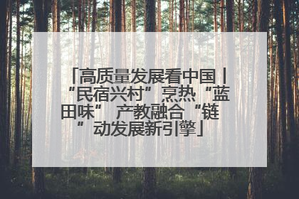 高质量发展看中国丨“民宿兴村”烹热“蓝田味” 产教融合“链”动发展新引擎