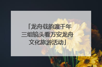 龙舟载韵渡千年 三组镜头看万安龙舟文化旅游活动