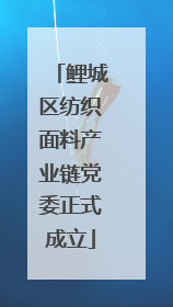 鲤城区纺织面料产业链党委正式成立