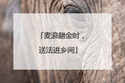 麦浪翻金时，送法进乡间