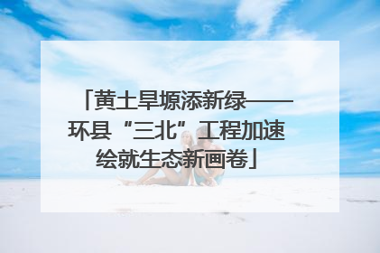 黄土旱塬添新绿——环县“三北”工程加速绘就生态新画卷