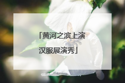 黄河之滨上演汉服展演秀