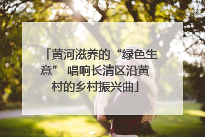 黄河滋养的“绿色生意” 唱响长清区沿黄村的乡村振兴曲