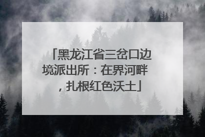 黑龙江省三岔口边境派出所：在界河畔，扎根红色沃土