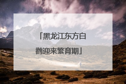 黑龙江东方白鹳迎来繁育期