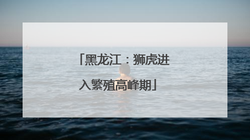 黑龙江：狮虎进入繁殖高峰期