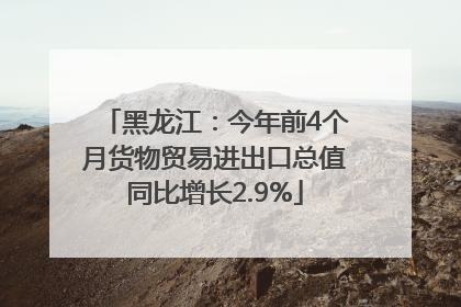 黑龙江：今年前4个月货物贸易进出口总值同比增长2.9%
