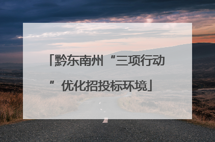 黔东南州“三项行动”优化招投标环境
