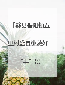 黟县碧阳镇五里村盛夏桃熟好“丰”景