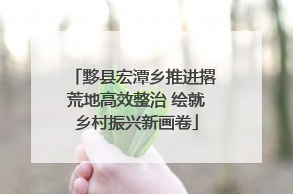 黟县宏潭乡推进撂荒地高效整治 绘就乡村振兴新画卷