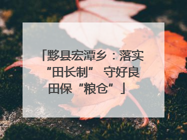 黟县宏潭乡：落实“田长制” 守好良田保“粮仓”