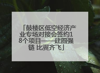 鼓楼区低空经济产业专场对接会签约18个项目——建圈强链 比翼齐飞