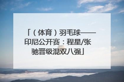 （体育）羽毛球——印尼公开赛：程星/张驰晋级混双八强